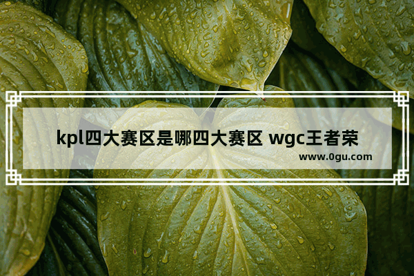 kpl四大赛区是哪四大赛区 wgc王者荣耀