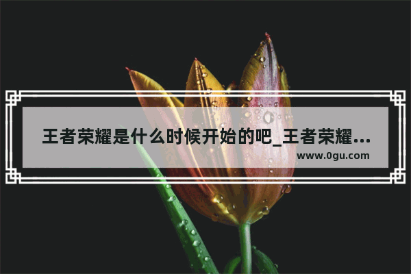 王者荣耀是什么时候开始的吧_王者荣耀为什么没有王翦