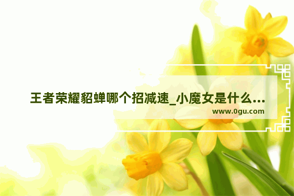 王者荣耀貂蝉哪个招减速_小魔女是什么护甲