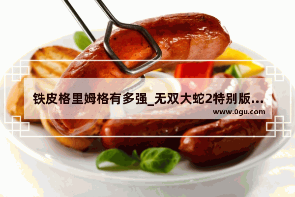 铁皮格里姆格有多强_无双大蛇2特别版武将排名