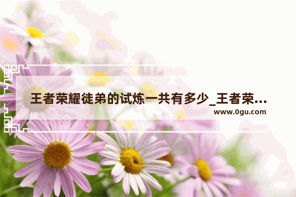 王者荣耀徒弟的试炼一共有多少_王者荣耀师徒任务总共有多少个