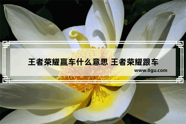王者荣耀赢车什么意思 王者荣耀跟车