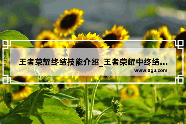 王者荣耀终结技能介绍_王者荣耀中终结什么意思