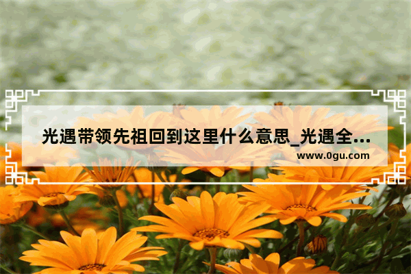 光遇带领先祖回到这里什么意思_光遇全部回归先祖是什么意思