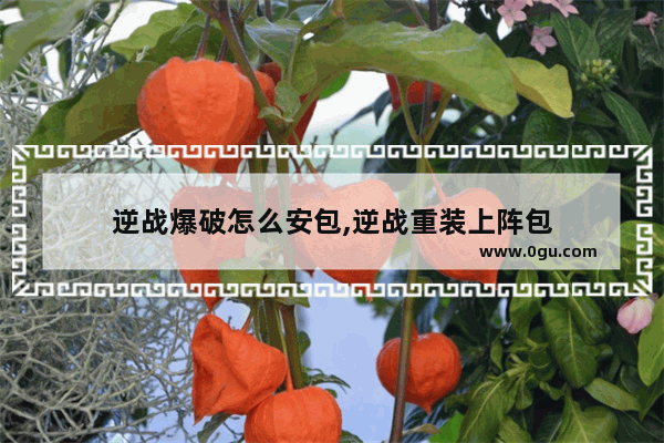 逆战爆破怎么安包,逆战重装上阵包