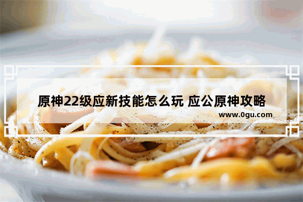 原神22级应新技能怎么玩 应公原神攻略