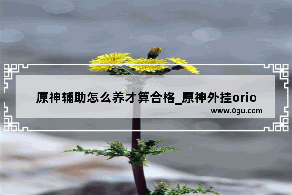 原神辅助怎么养才算合格_原神外挂orion怎么用