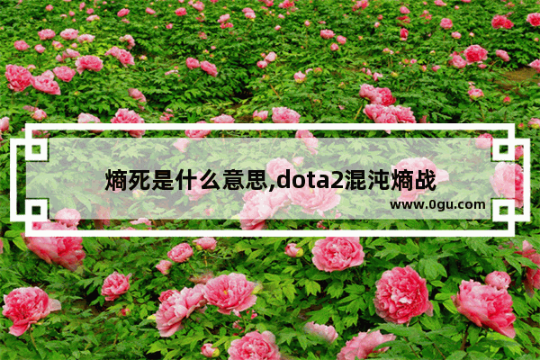 熵死是什么意思,dota2混沌熵战