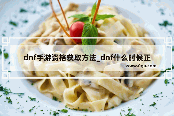 dnf手游资格获取方法_dnf什么时候正式开服的