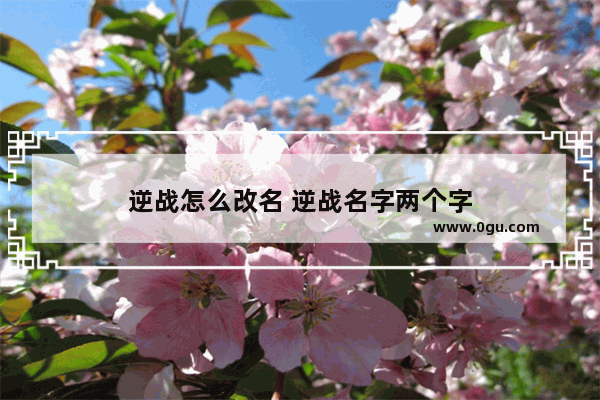 逆战怎么改名 逆战名字两个字