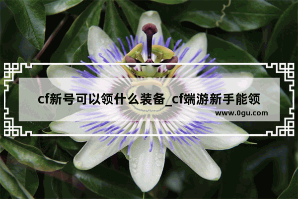 cf新号可以领什么装备_cf端游新手能领哪些武器