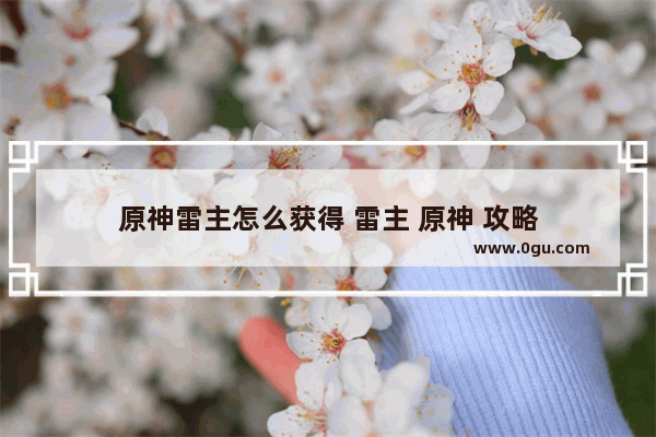 原神雷主怎么获得 雷主 原神 攻略