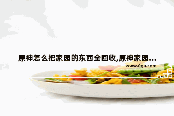 原神怎么把家园的东西全回收,原神家园奖励攻略