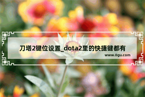刀塔2键位设置_dota2里的快捷键都有哪些