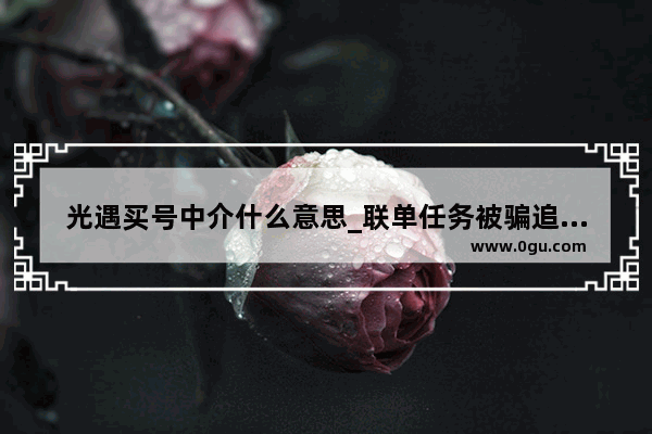 光遇买号中介什么意思_联单任务被骗追回几率大吗