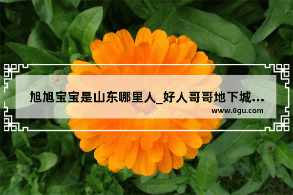 旭旭宝宝是山东哪里人_好人哥哥地下城与勇士手游