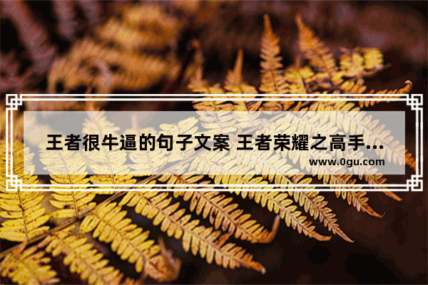 王者很牛逼的句子文案 王者荣耀之高手无敌