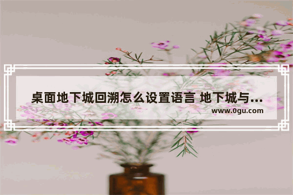 桌面地下城回溯怎么设置语言 地下城与勇士手游翻译韩文