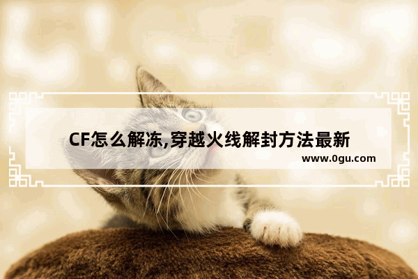 CF怎么解冻,穿越火线解封方法最新