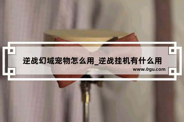 逆战幻域宠物怎么用_逆战挂机有什么用