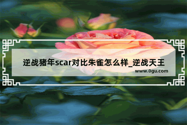 逆战猪年scar对比朱雀怎么样_逆战天王好还是朱雀好天王和朱雀哪个好