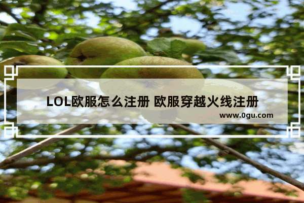 LOL欧服怎么注册 欧服穿越火线注册
