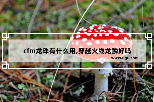 cfm龙珠有什么用,穿越火线龙鳞好吗