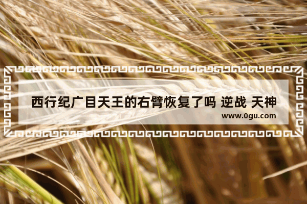 西行纪广目天王的右臂恢复了吗 逆战 天神 手臂