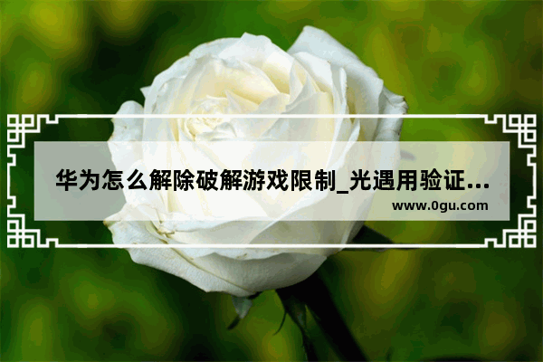 华为怎么解除破解游戏限制_光遇用验证码还需人脸识别吗