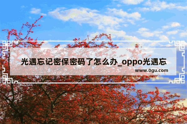 光遇忘记密保密码了怎么办_oppo光遇忘记密码