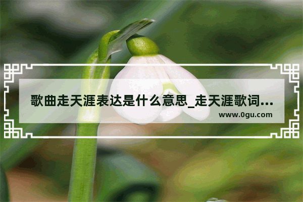歌曲走天涯表达是什么意思_走天涯歌词含义什么意思