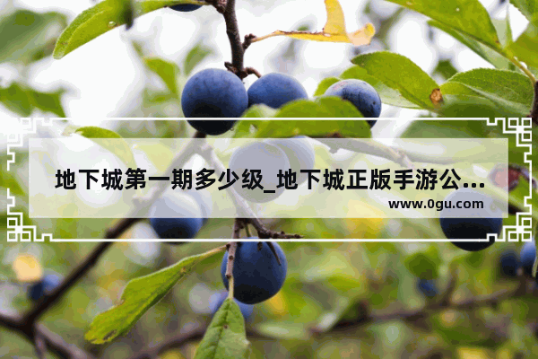 地下城第一期多少级_地下城正版手游公测时间