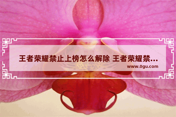 王者荣耀禁止上榜怎么解除 王者荣耀禁榜申请解除