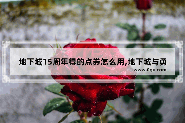 地下城15周年得的点券怎么用,地下城与勇士的金币怎么用