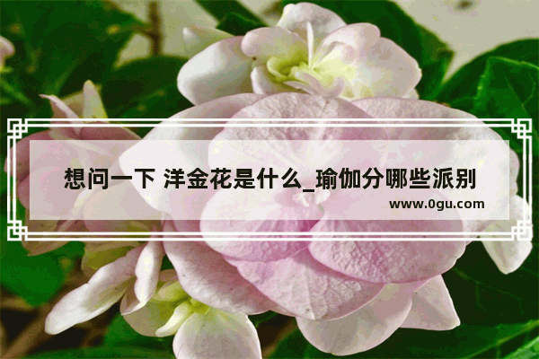想问一下 洋金花是什么_瑜伽分哪些派别