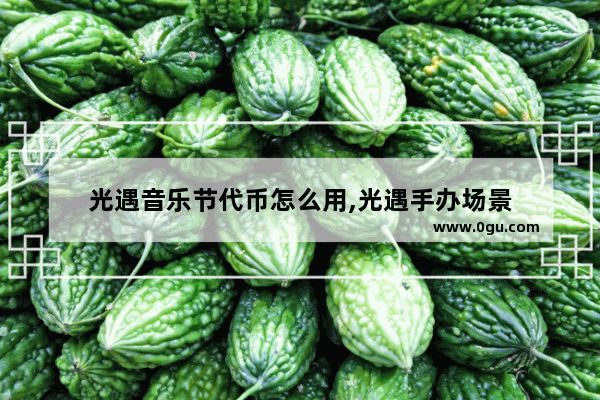 光遇音乐节代币怎么用,光遇手办场景