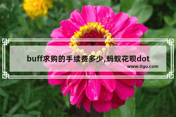 buff求购的手续费多少,蚂蚁花呗dota2