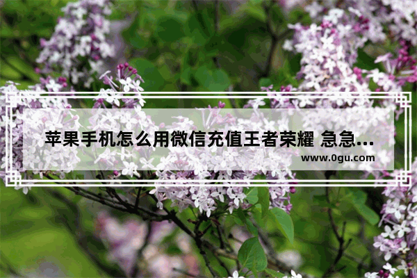 苹果手机怎么用微信充值王者荣耀 急急急急急急急急急,微信充值王者荣耀ios