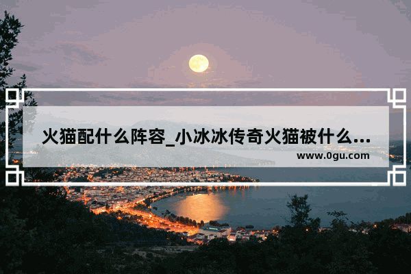 火猫配什么阵容_小冰冰传奇火猫被什么克制