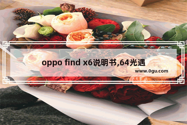 oppo find x6说明书,64光遇复刻