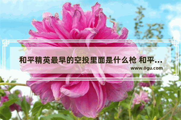 和平精英最早的空投里面是什么枪 和平精英第一个武器