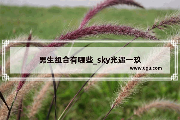 男生组合有哪些_sky光遇一玖