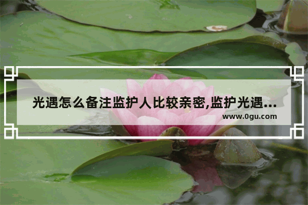 光遇怎么备注监护人比较亲密,监护光遇称呼