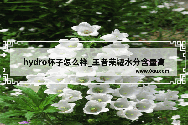 hydro杯子怎么样_王者荣耀水分含量高怎么办
