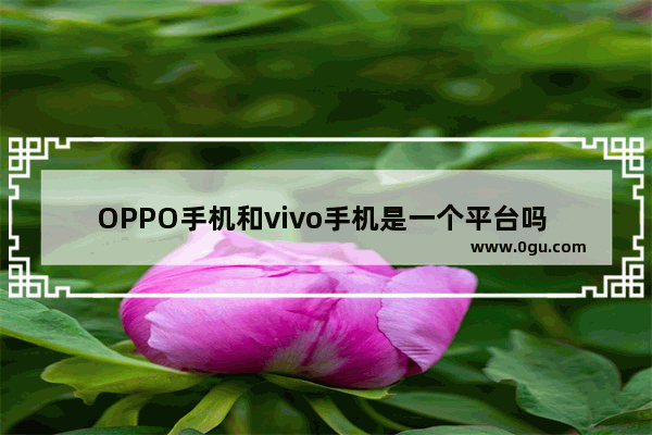 OPPO手机和vivo手机是一个平台吗 vivo光遇同行