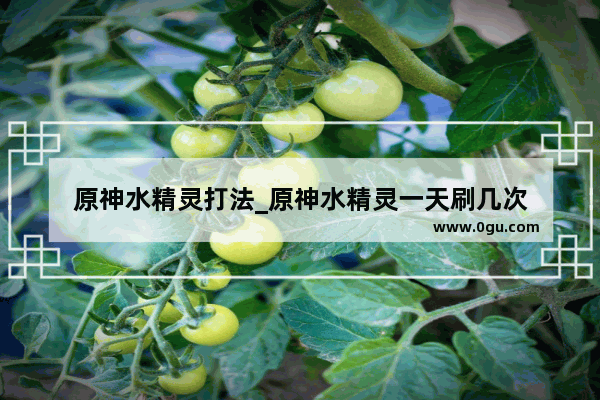 原神水精灵打法_原神水精灵一天刷几次