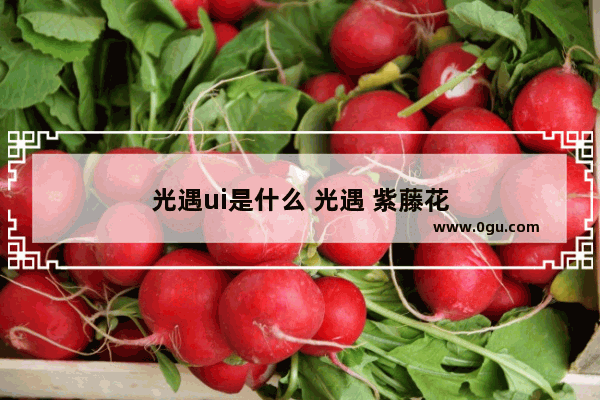 光遇ui是什么 光遇 紫藤花