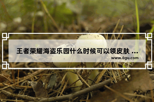 王者荣耀海盗乐园什么时候可以领皮肤 王者荣耀海盗