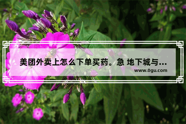美团外卖上怎么下单买药。急 地下城与勇士经验药哪买