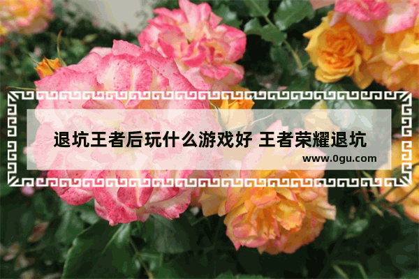 退坑王者后玩什么游戏好 王者荣耀退坑